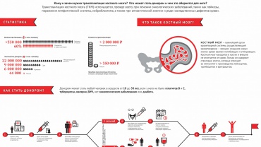 Заставка для - Инфографика о донорстве костного мозга